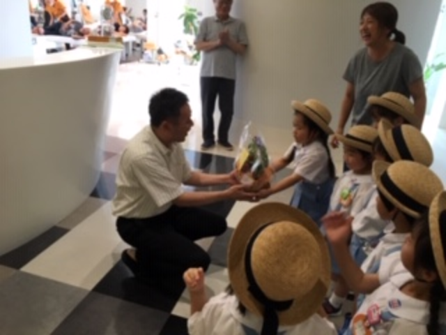 今日は花の日です。